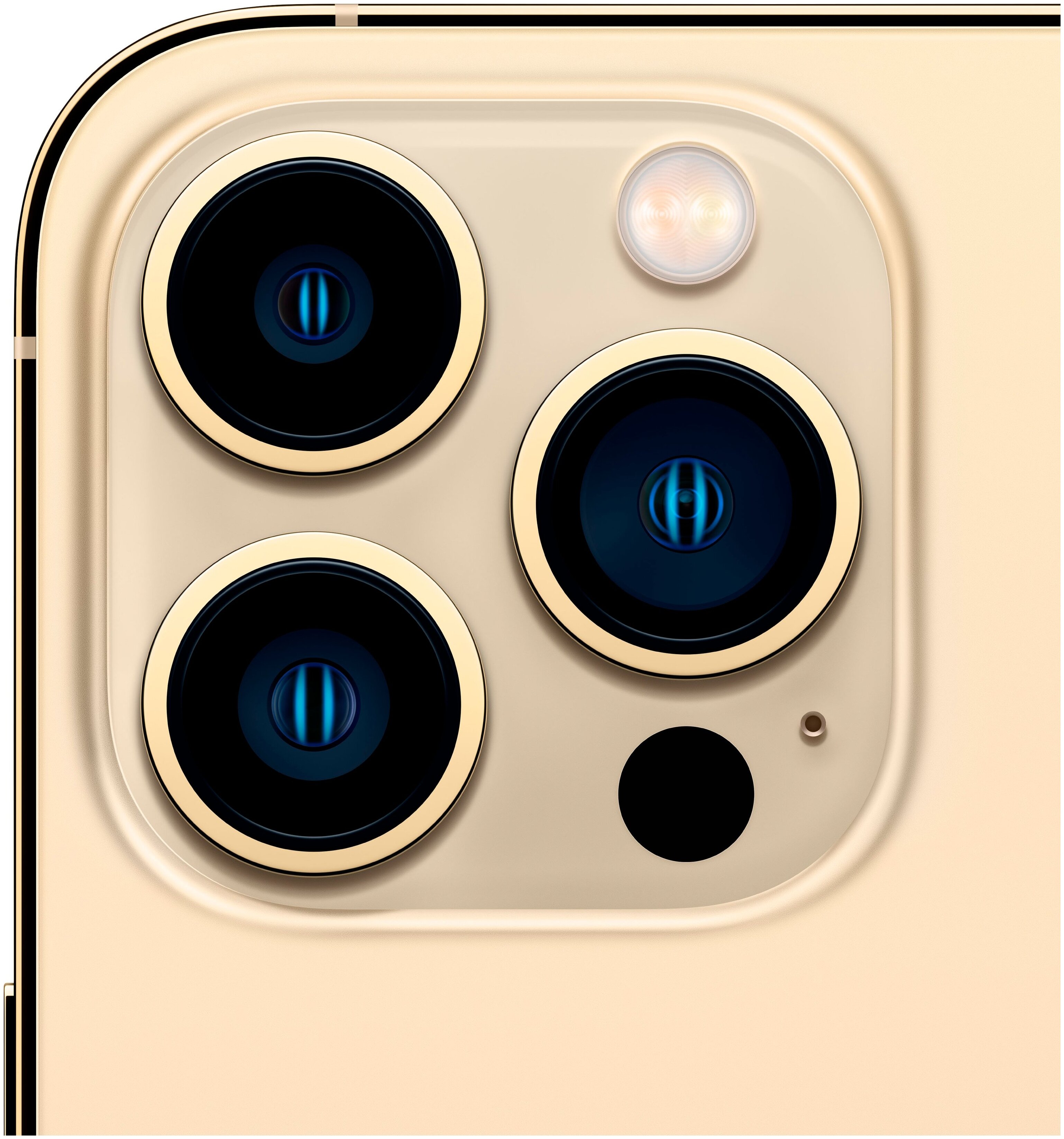 Купить Apple Iphone 13 Pro Max 1Tb в Бишкеке